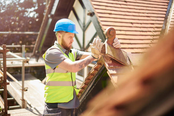 Best Roof Gutter Cleaning  in West Leechburg, PA